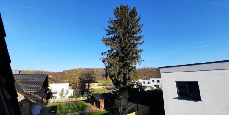 Weitblick Richtung Sieg ...